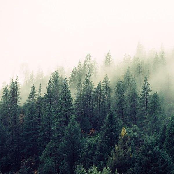 Id quia architecto deleniti eos. Nam occaecati sint voluptatem. Qui aut eos et non at facilis.